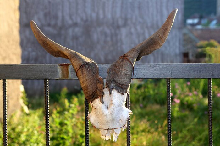 Poner los cuernos a alguien