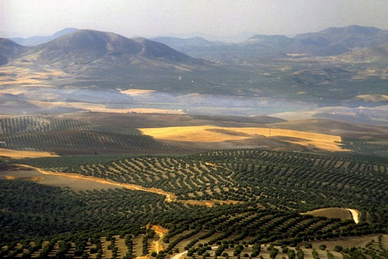 Irse por los cerros de Úbeda