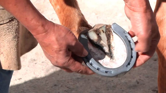 Herrar o quitar el banco