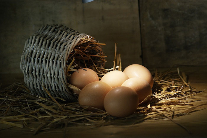 Cuando seas padre, comerás huevos