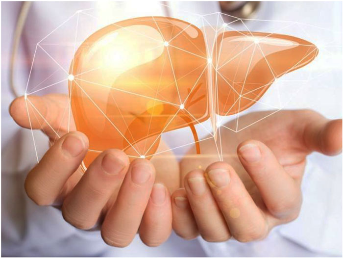 Qué comer para tener un hígado saludable Qué comer para tener un hígado saludable