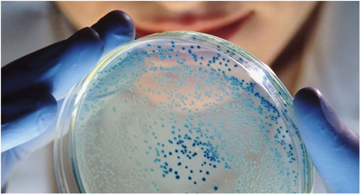 Durante 2017, EEUU registró 221 casos de superbacterias