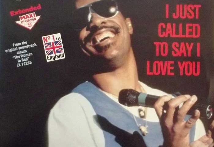 Stevie Wonder I Just Called To Say I Love You