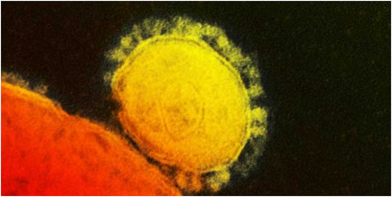 Coronavirus