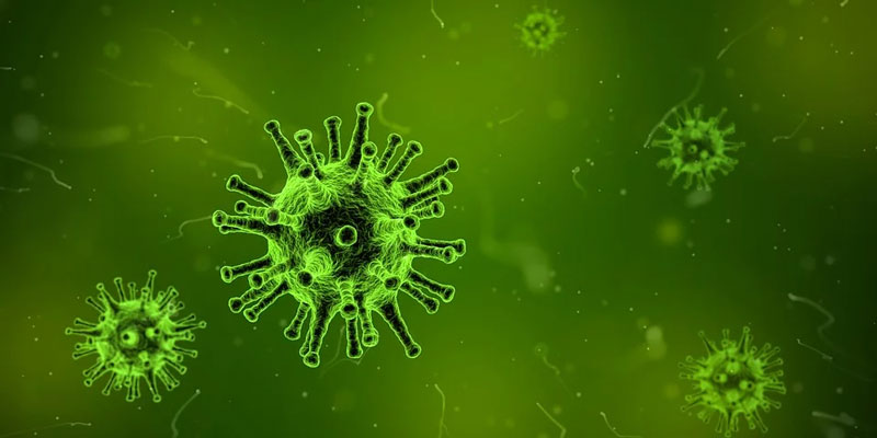 Diferencias entre virus y bacterias