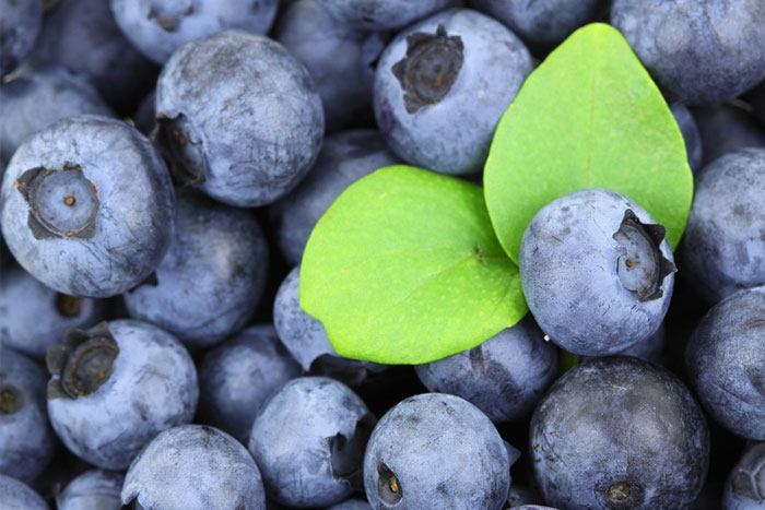 Los sorprendentes beneficios de consumir arándanos todos los días