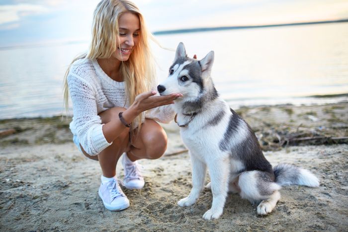 Verano con mascotas: la ciencia detrás de una hidratación y nutrición adecuadas para el calor