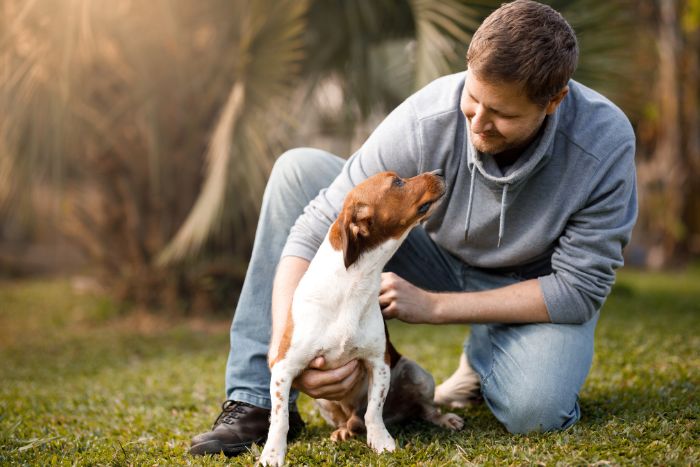 Estas son las razones por las que la mirada de tu perro es irresistible