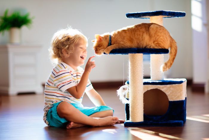 Beneficios para los niños de adoptar un gato