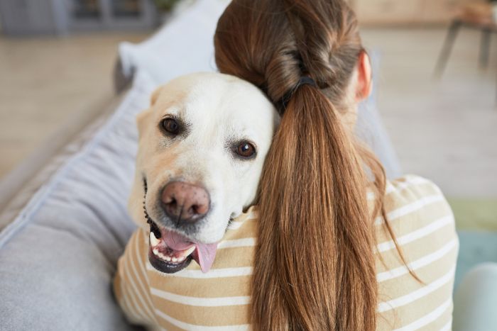 Los perros también pueden cuidar de nuestra salud