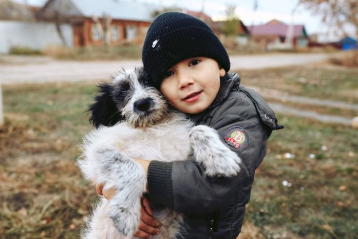 El corazón de la lealtad: entendiendo la bondad canina