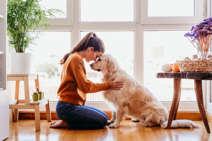 ¿Qué beneficios tiene vivir con perros, según la ciencia?