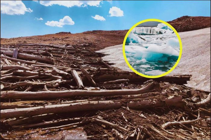 Un bosque congelado durante 6.000 años reaparece en Estados Unidos: el motivo de su resurgimiento alarma a los científicos Un bosque congelado durante 6.000 años reaparece en Estados Unidos: el motivo de su resurgimiento alarma a los científicos