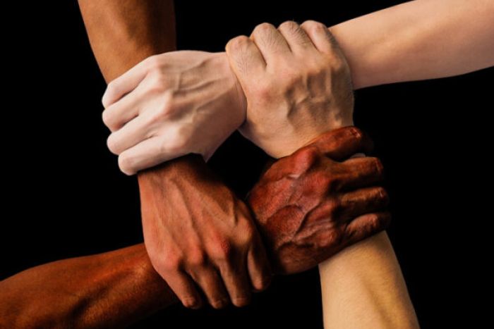 Significado de Diversidad