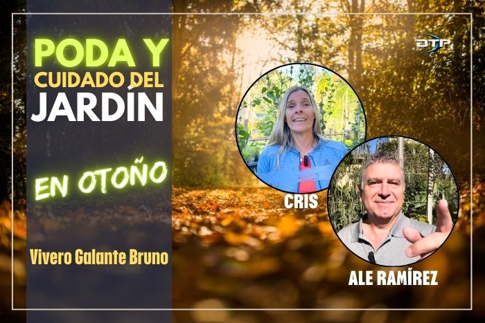 Poda y cuidado de nuestro jardín en otoño