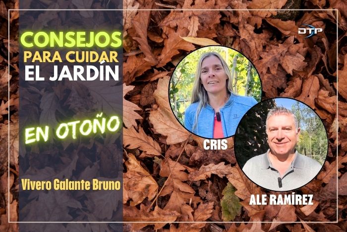 Otoño: Consejos para cuidar nuestro jardín