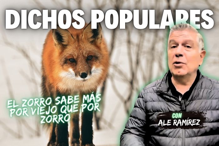 Dichos Populares: El zorro sabe más por viejo que por zorro