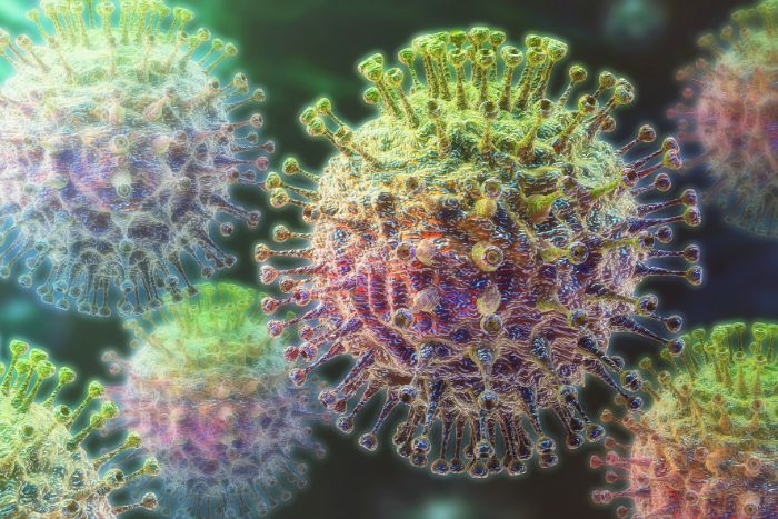 Gripe H1N1 (gripe porcina)