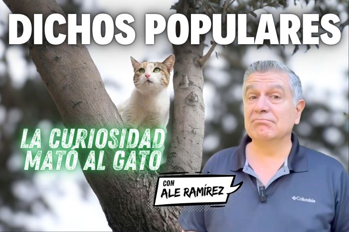 Dichos Populares: » La curiosidad mató al gato»