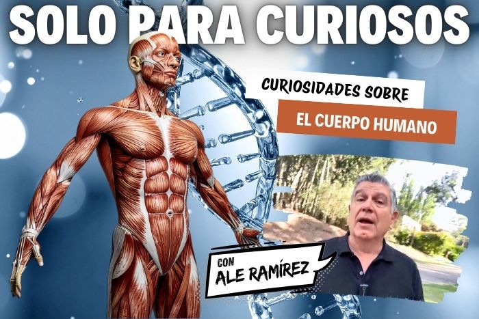Curiosidades sobre el cuerpo humano