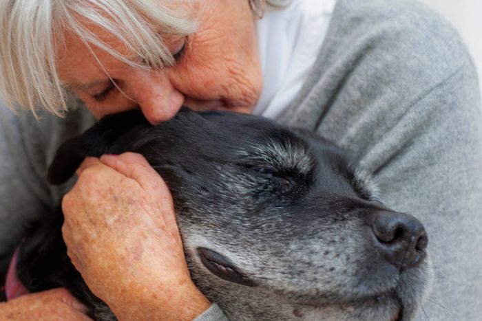 El dolor por la muerte de nuestra mascota