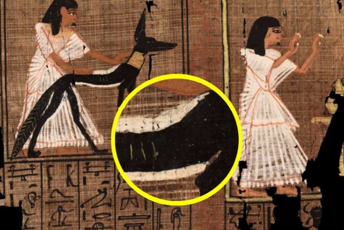 Un papiro egipcio de 3300 años demuestra que los escribas ya usaban «típex» para corregir errores en el antiguo Egipto