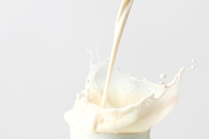 No llorar sobre la leche derramada No llorar sobre la leche derramada