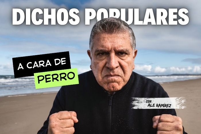 Dichos populares: A cara de perro