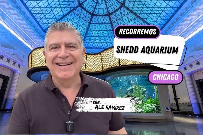 ¿Qué hay dentro del Shedd Aquarium de Chicago?