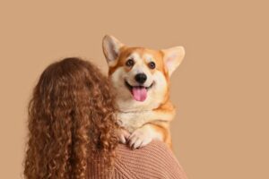 Los Expertos Han Advertido Que No Se Debe Abrazar A Las Mascotas