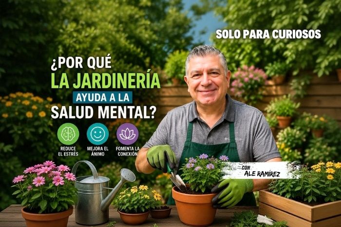 ¿Por qué la jardinería ayuda a la salud mental?