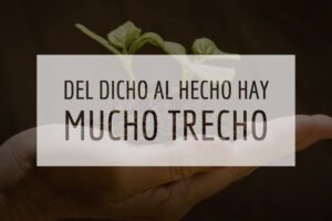 Del dicho al hecho hay mucho trecho