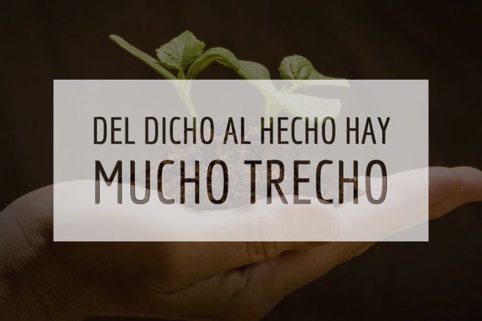 Del dicho al hecho hay mucho trecho