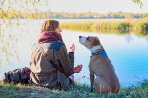 No es que los perros entiendan el idioma: el habla les afina el cerebro para detectar fronteras entre sonidos