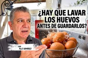 ¿Hay que lavar los huevos antes de guardarlos?