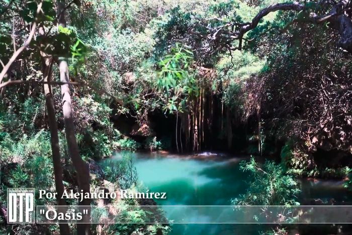 Oasis por Ale Ramírez Oasis por Ale Ramírez