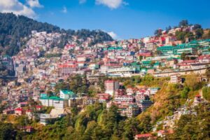 Shimla